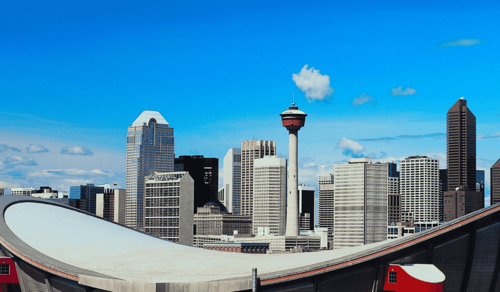 wordpress website redesign mistakes calgary