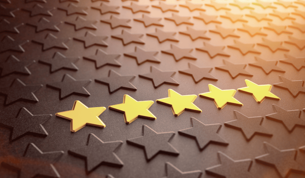 wordpress website performance Calgary