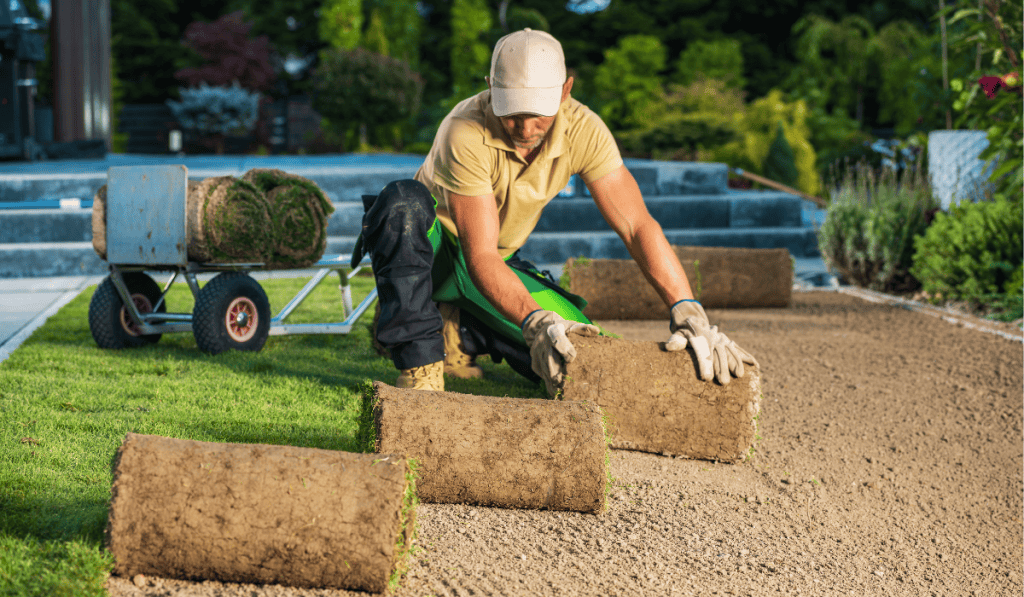 Why landscaping businesses need a website 